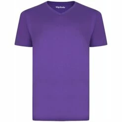 Bigdude Plain V-Neck T-Shirt Purple